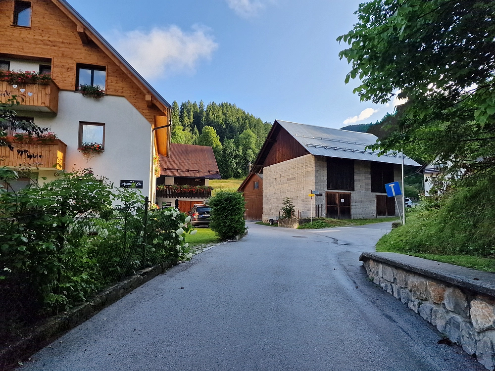 Slika je vidna v Google Chromu.