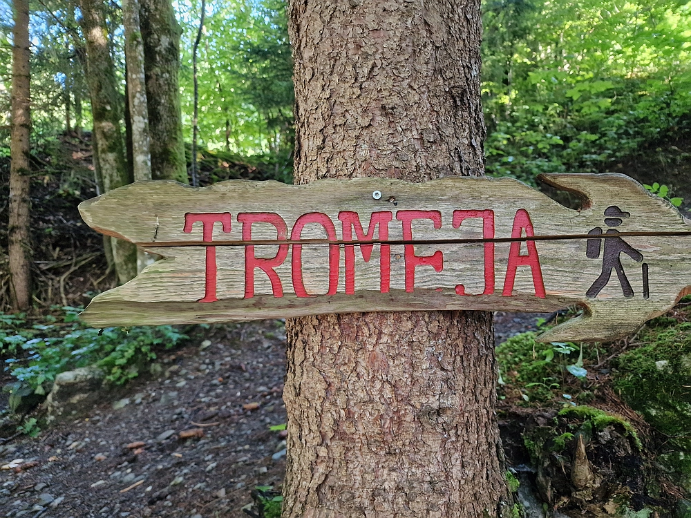 Slika je vidna v Google Chromu.