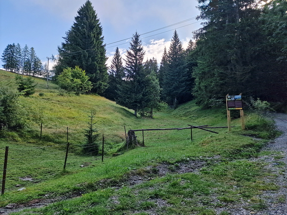 Slika je vidna v Google Chromu.