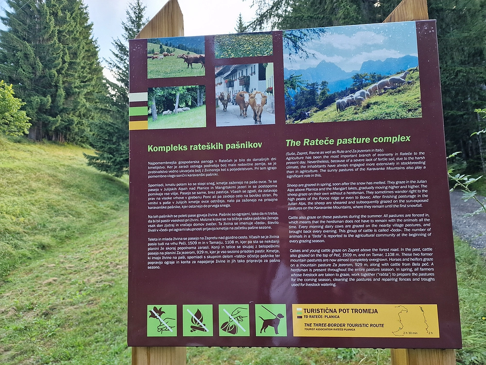 Slika je vidna v Google Chromu.