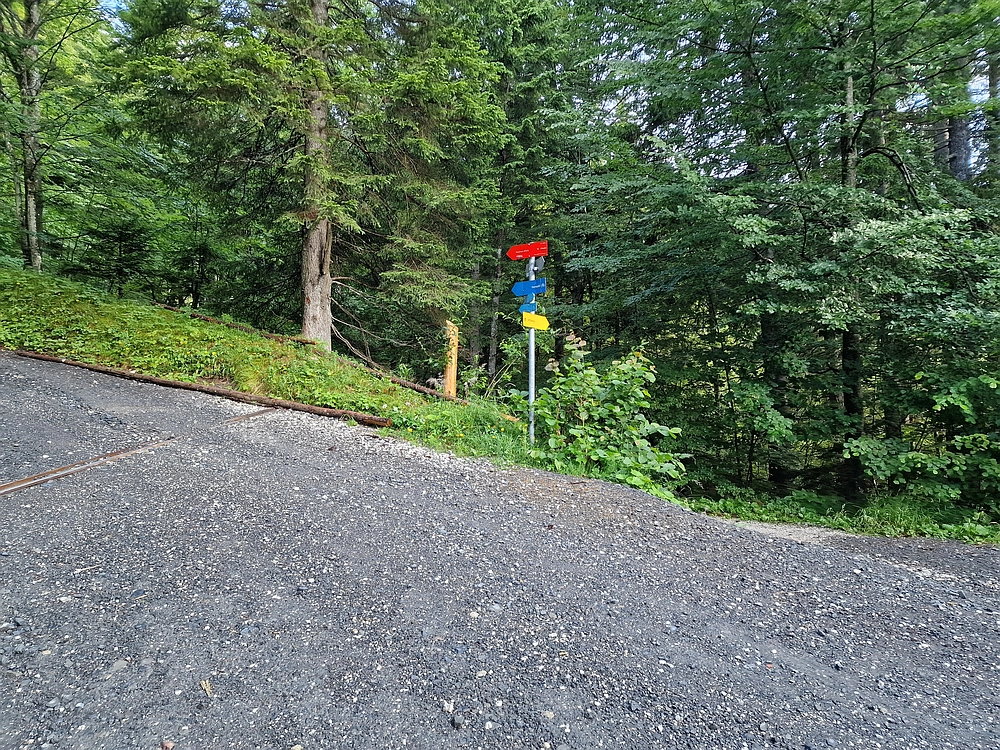 Slika je vidna v Google Chromu.