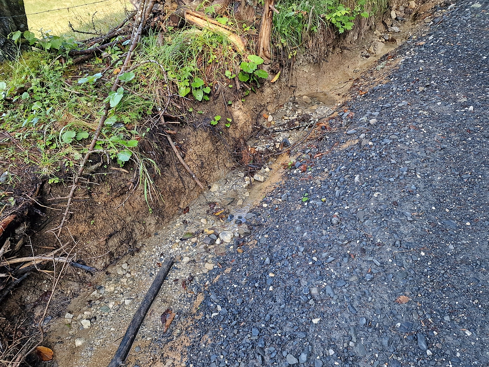 Slika je vidna v Google Chromu.