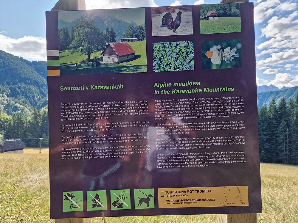 Slika je vidna v Google Chromu.