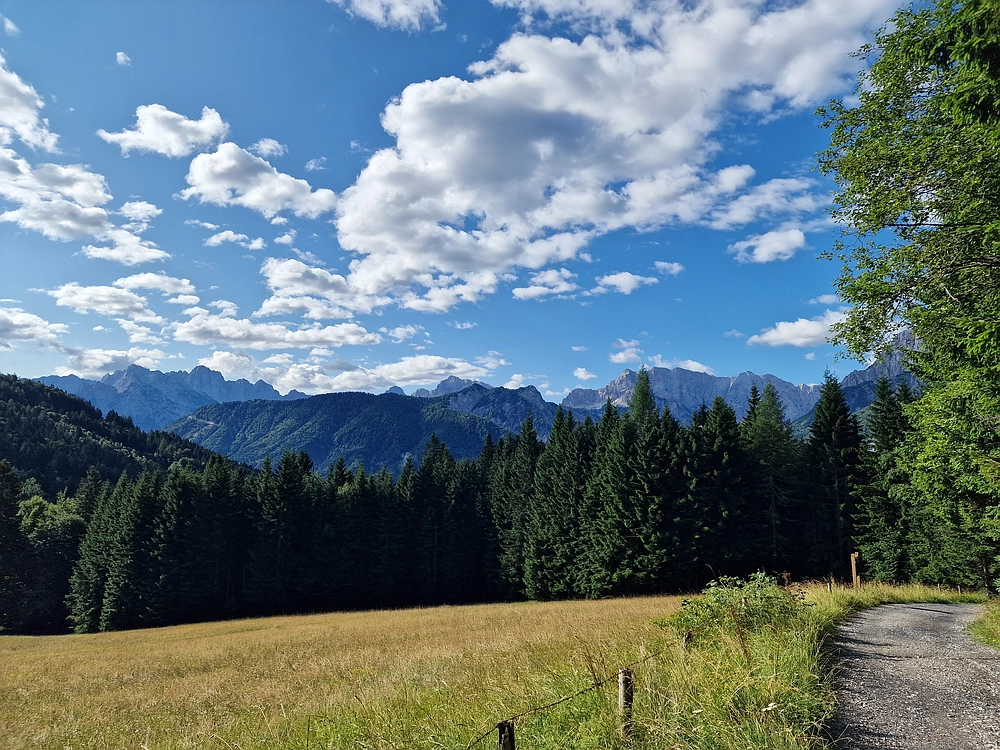 Slika je vidna v Google Chromu.