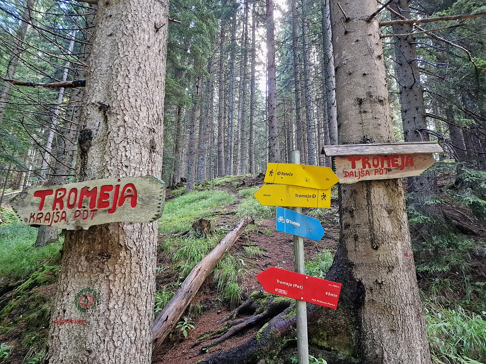 Slika je vidna v Google Chromu.