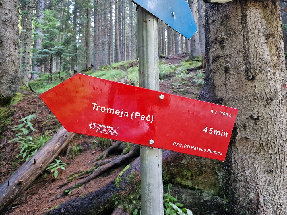 Slika je vidna v Google Chromu.