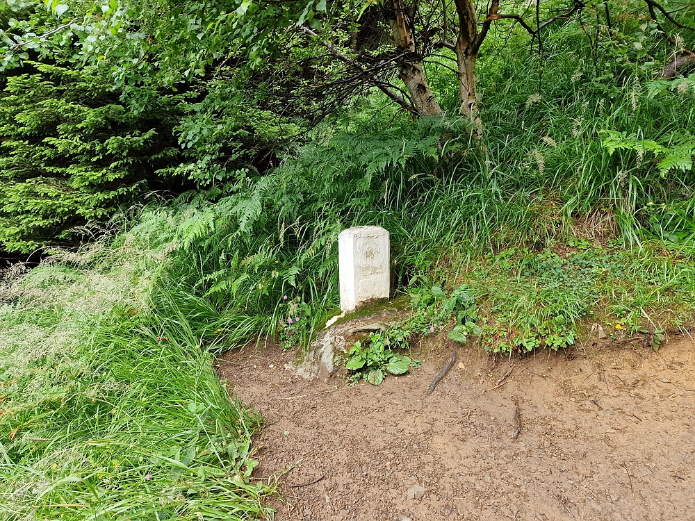 Slika je vidna v Google Chromu.