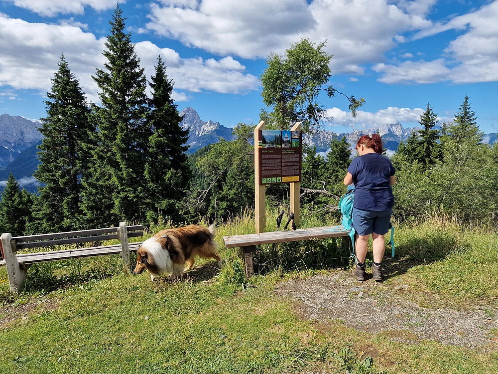 Slika je vidna v Google Chromu.