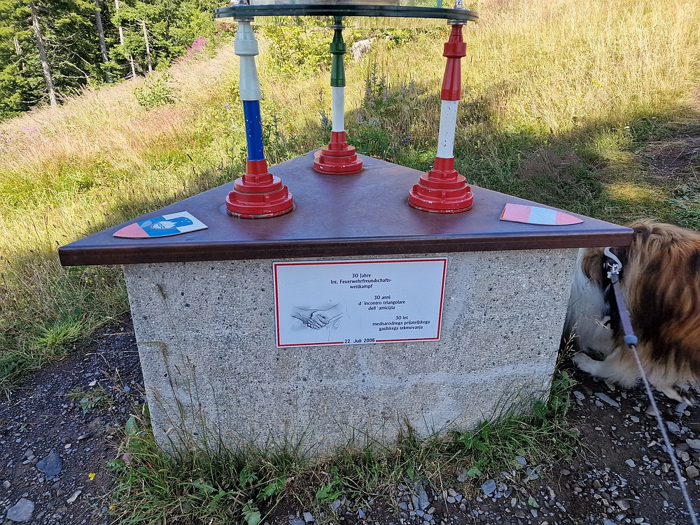 Slika je vidna v Google Chromu.