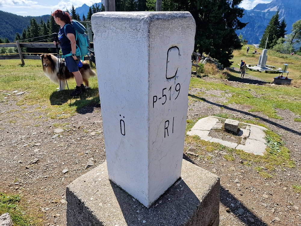 Slika je vidna v Google Chromu.