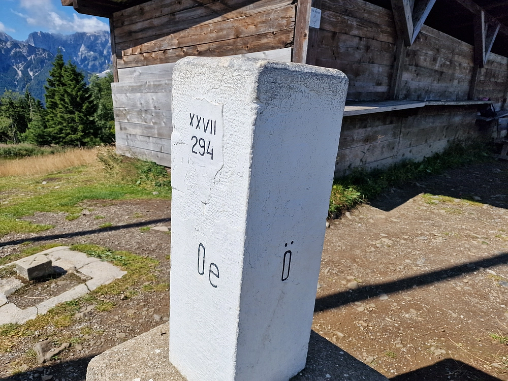 Slika je vidna v Google Chromu.