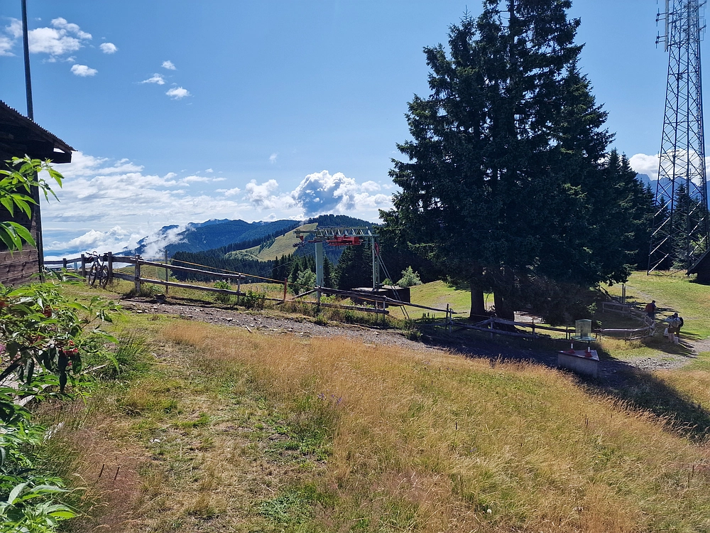 Slika je vidna v Google Chromu.