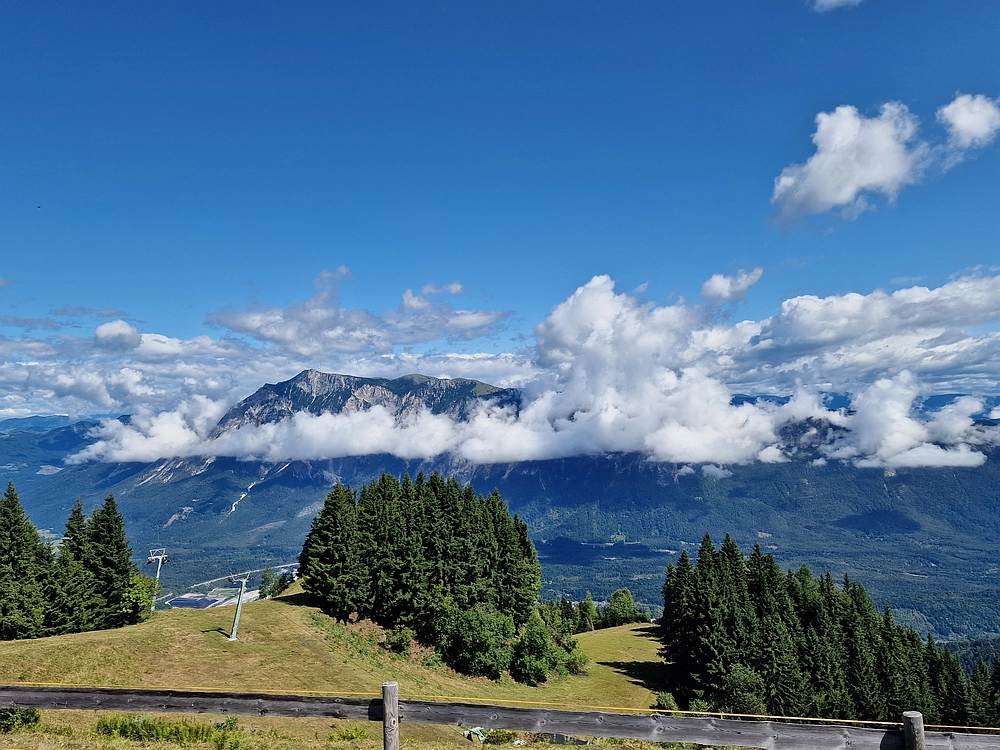 Slika je vidna v Google Chromu.