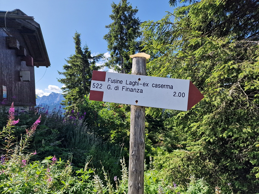 Slika je vidna v Google Chromu.