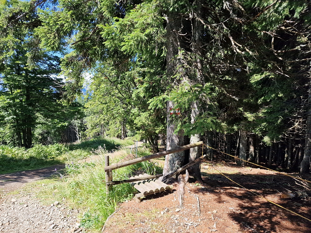 Slika je vidna v Google Chromu.