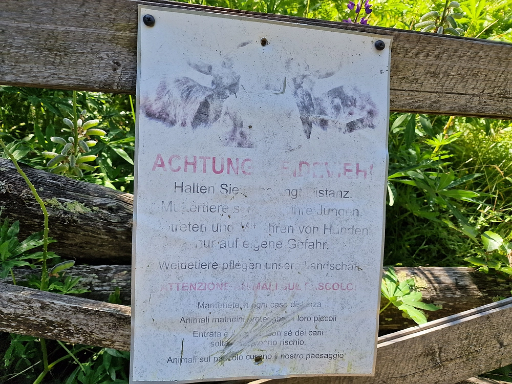 Slika je vidna v Google Chromu.