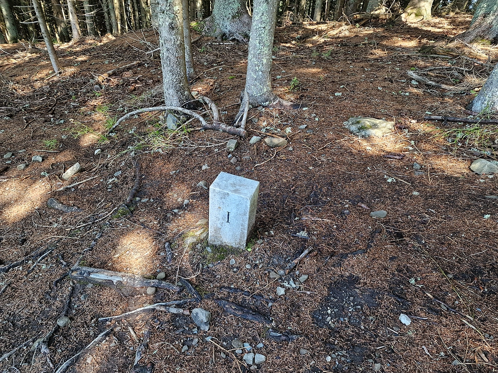 Slika je vidna v Google Chromu.