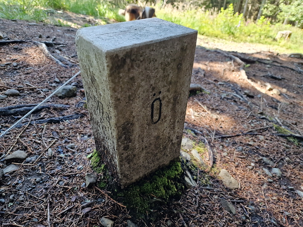 Slika je vidna v Google Chromu.