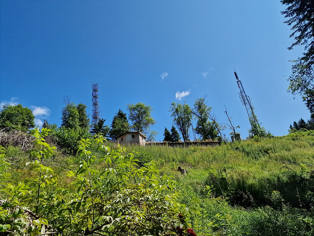 Slika je vidna v Google Chromu.