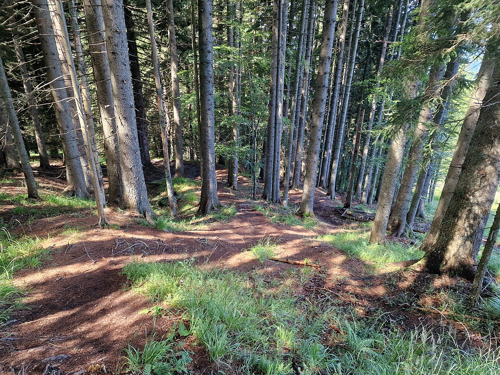 Slika je vidna v Google Chromu.