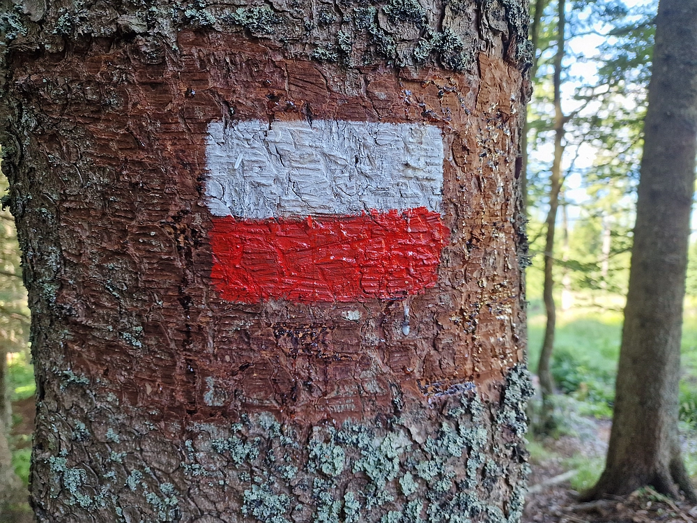 Slika je vidna v Google Chromu.