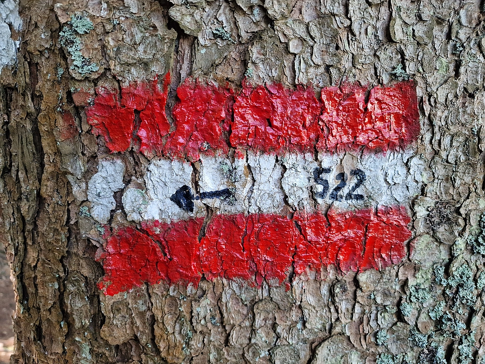 Slika je vidna v Google Chromu.