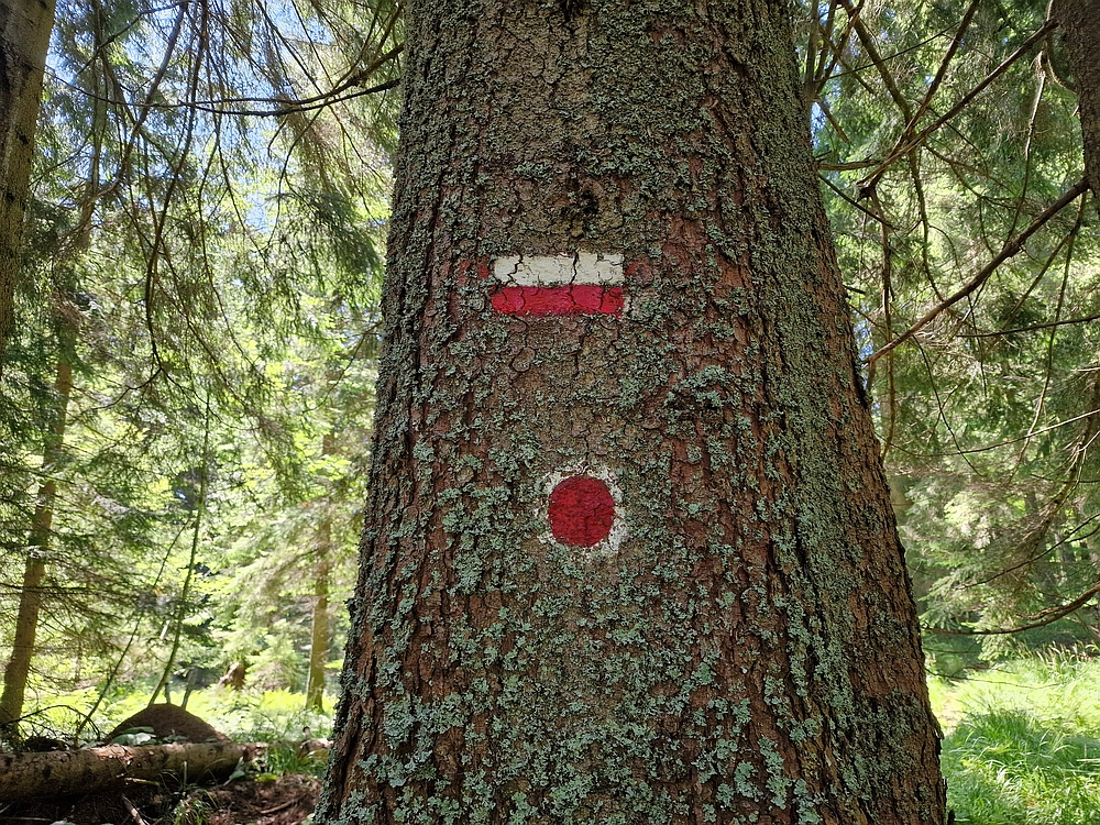 Slika je vidna v Google Chromu.