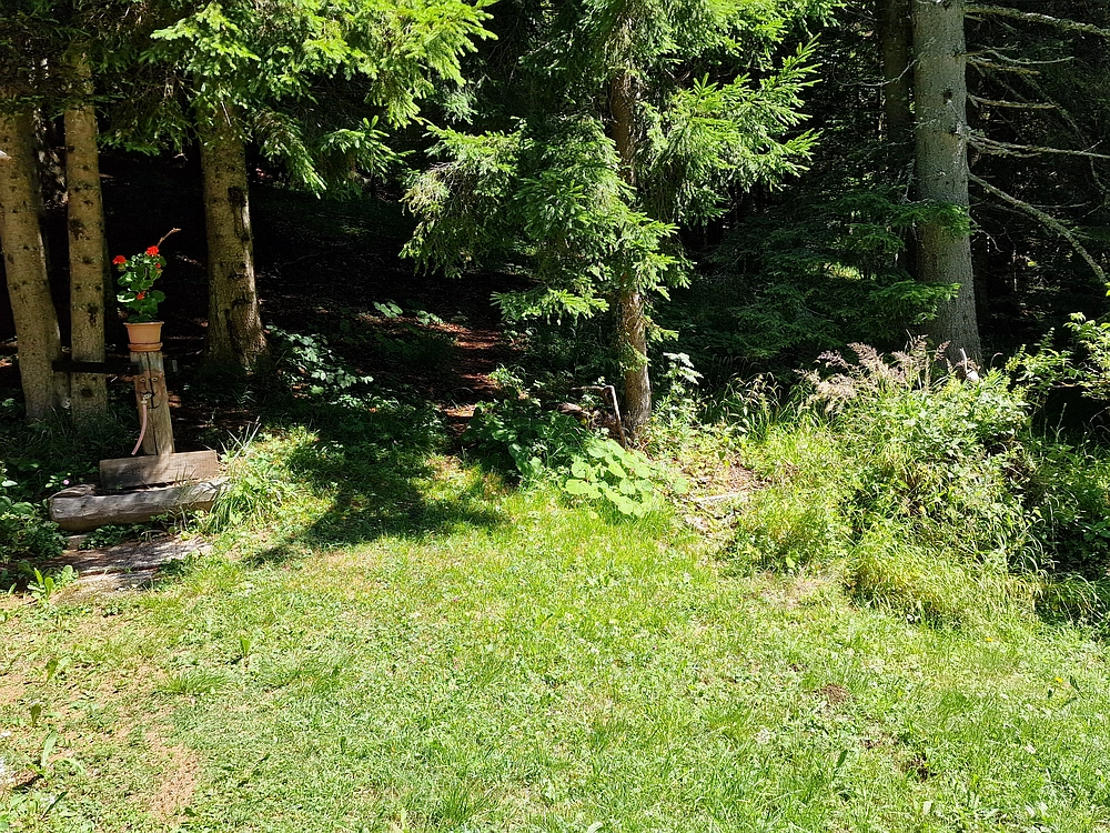 Slika je vidna v Google Chromu.