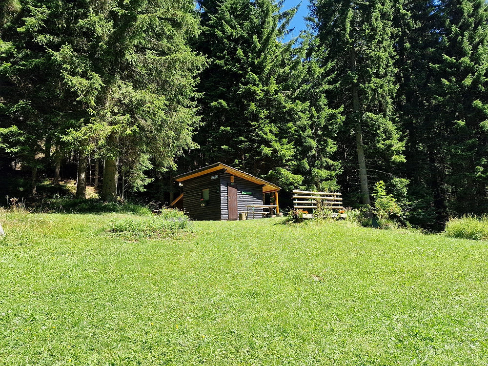 Slika je vidna v Google Chromu.