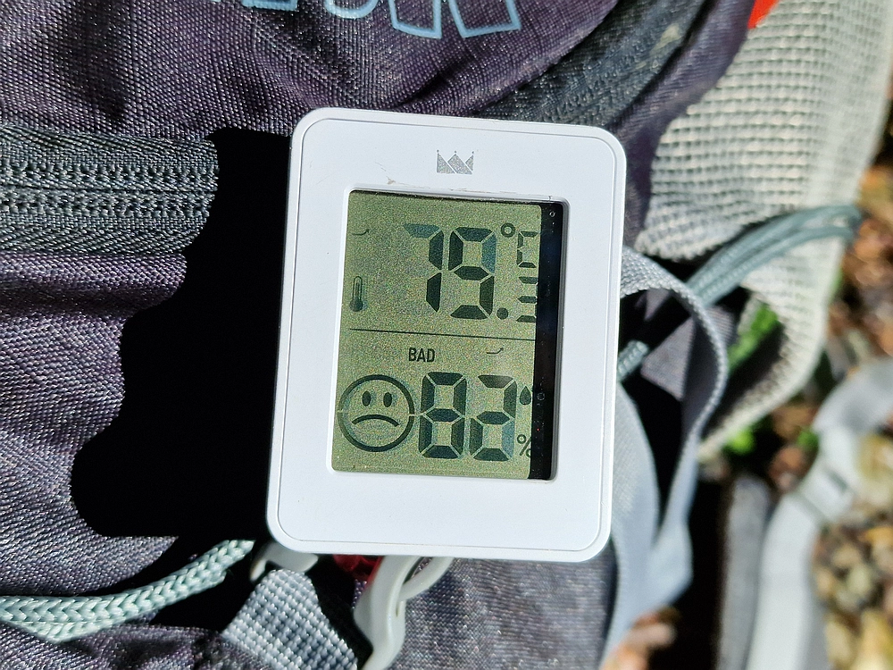 Slika je vidna v Google Chromu.