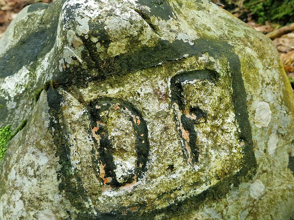 Slika je vidna v Google Chromu.