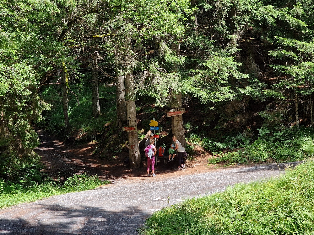 Slika je vidna v Google Chromu.
