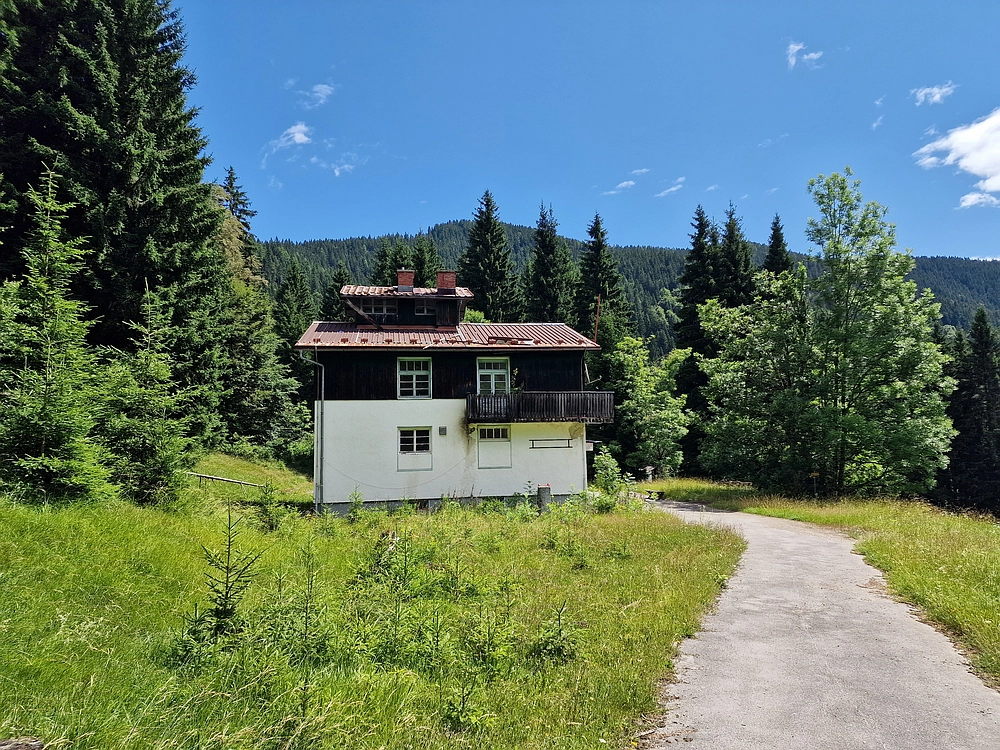 Slika je vidna v Google Chromu.