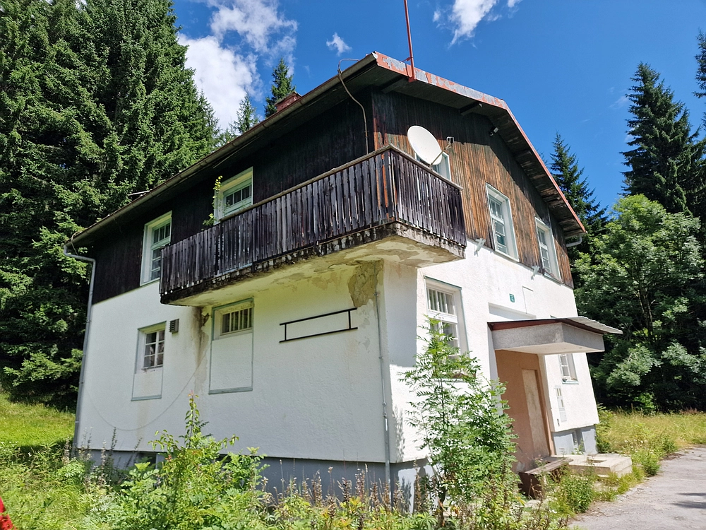 Slika je vidna v Google Chromu.