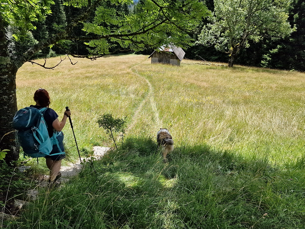 Slika je vidna v Google Chromu.