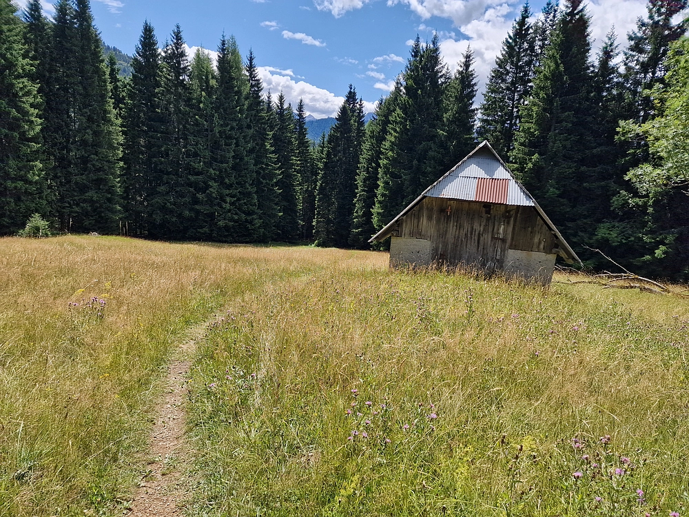 Slika je vidna v Google Chromu.