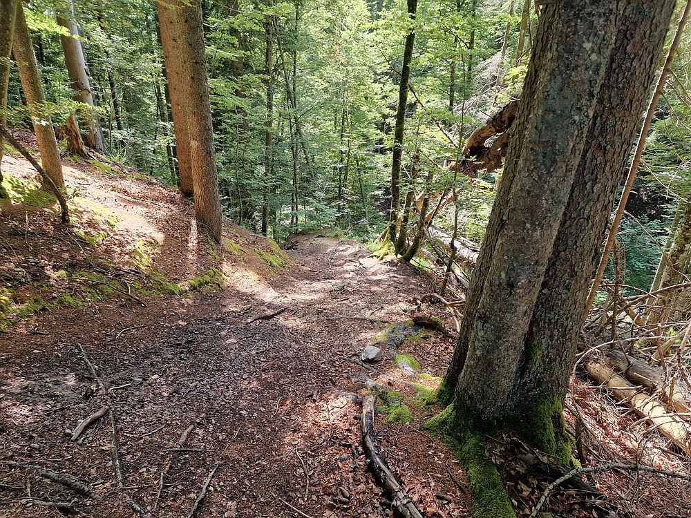Slika je vidna v Google Chromu.