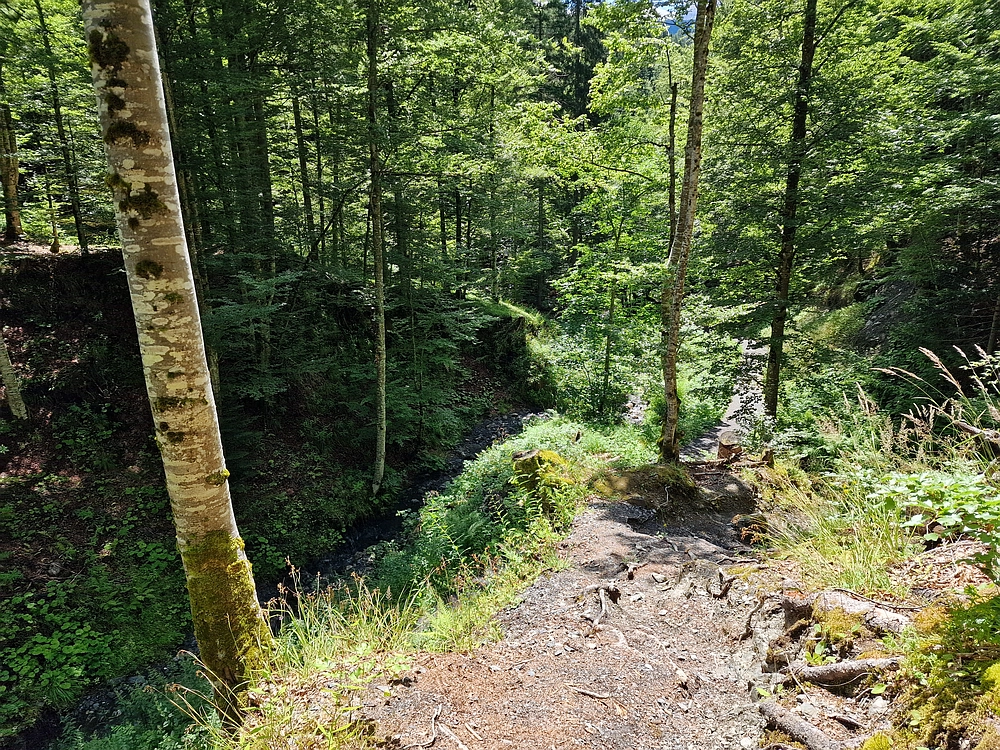 Slika je vidna v Google Chromu.