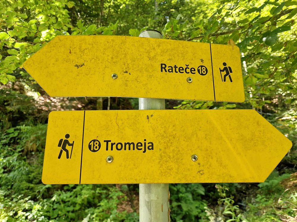 Slika je vidna v Google Chromu.