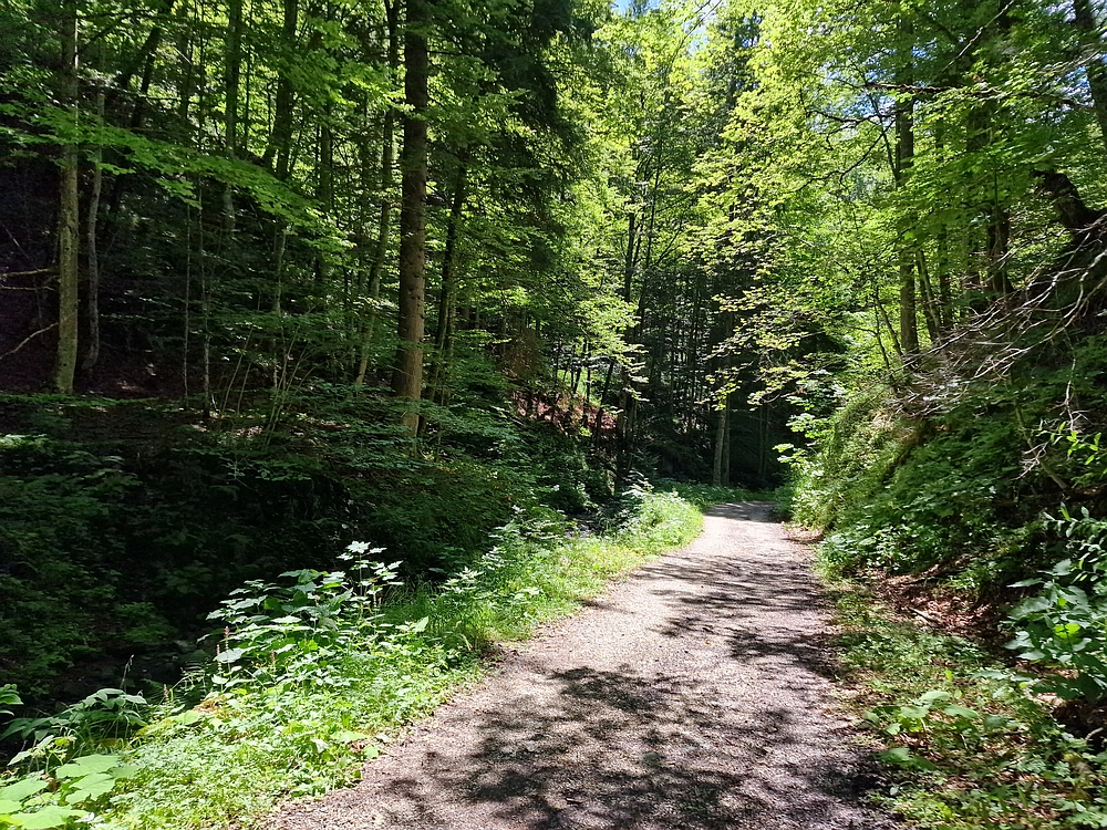 Slika je vidna v Google Chromu.