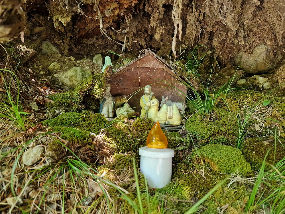 Slika je vidna v Google Chromu.