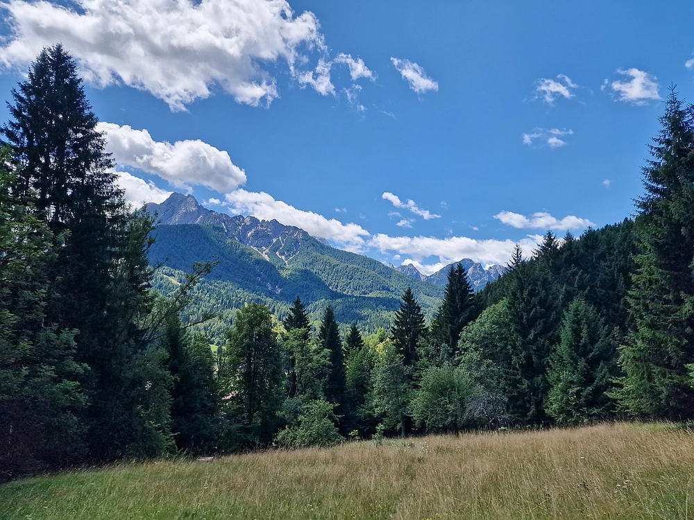 Slika je vidna v Google Chromu.