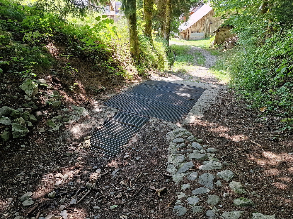 Slika je vidna v Google Chromu.