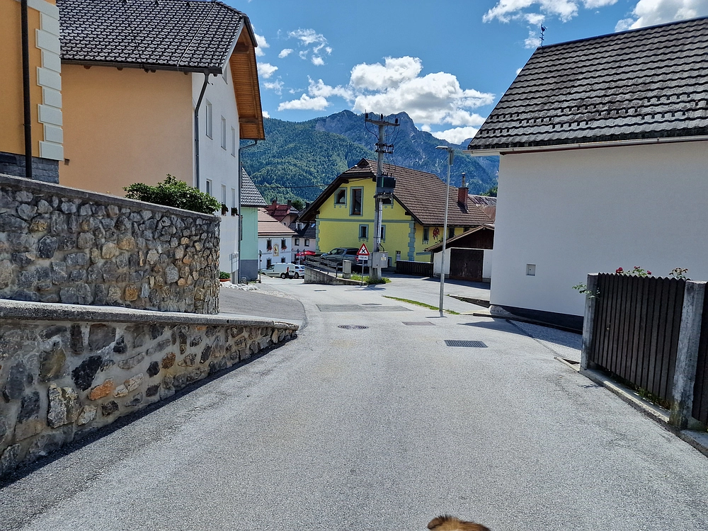 Slika je vidna v Google Chromu.