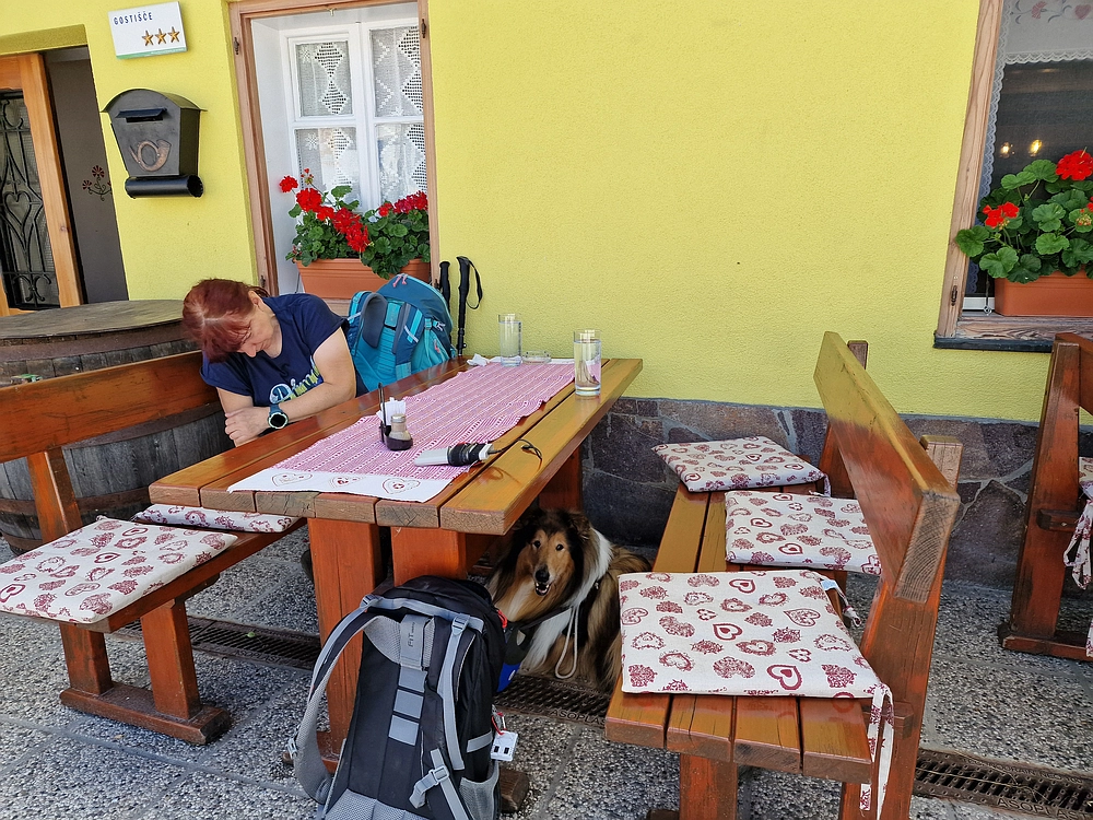 Slika je vidna v Google Chromu.