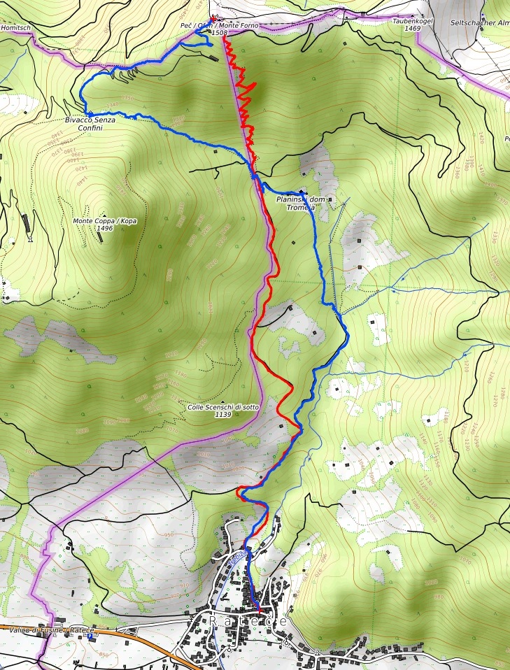 Slika je vidna v Google Chromu.