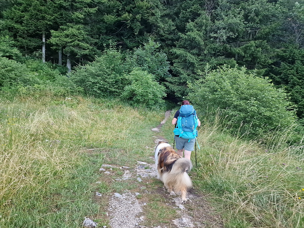 Slika je vidna v Google Chromu.