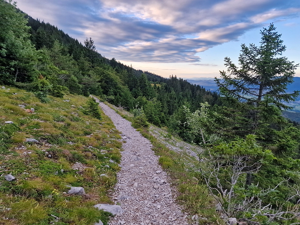 Slika je vidna v Google Chromu.