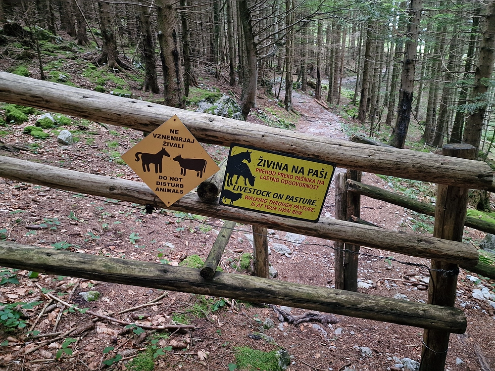 Slika je vidna v Google Chromu.