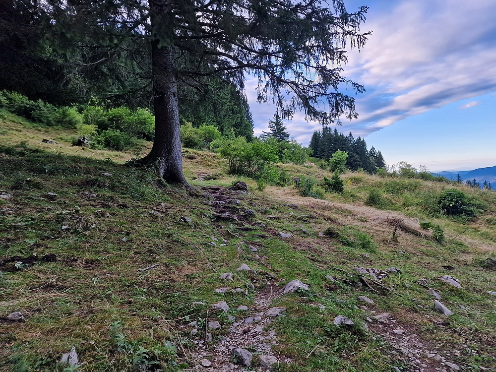 Slika je vidna v Google Chromu.